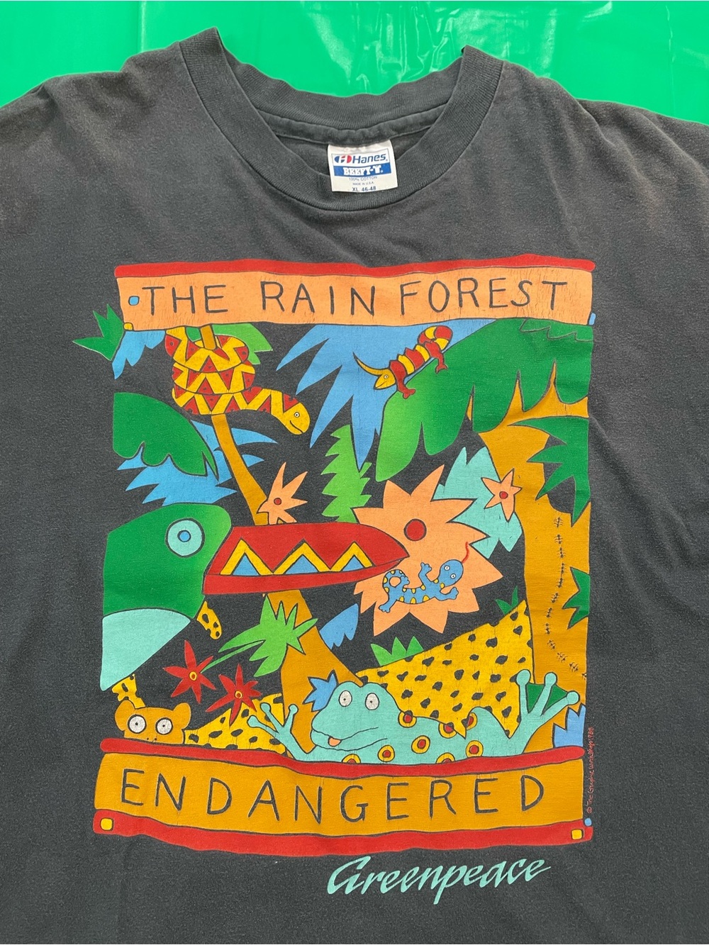 Vintage 80s Greenpeace 'The Rain Forest Endangered' Graphic Tee | Gray | size XL